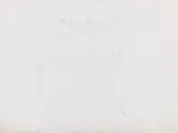 Joseph Beuys, Tierfrau 1, 1954, Pencil drawing