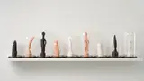 Candice Lin, Dildos (Corn Hill, Queen Victoria, Bird in Space), 2012, Nine silicone sculptures, each with bell jar