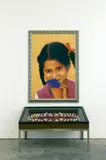 Reena Saini Kallat, Penumbra Passage (Canine Cases), 2-tlg, 2006, Acrylic on canvas. Display case with 32 fibergl...