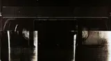 Joep van Liefland, Untitled (Vid.-VI), 2009, Silkscreen on canvas