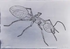 Peter Kogler, Ameise, 2020, Ball-point drawing and India ink on paper