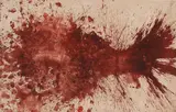 Hermann Nitsch, Ohne Titel (Schüttbild), 1961, Dispersion on canvas