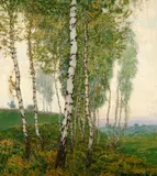 Alois Kalvoda, Birches