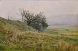 František Kaván, The bush