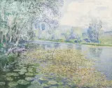 Vaclav Radimsky, Water lilies