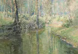Vaclav Radimsky, In the sunshine