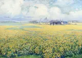 Vaclav Radimsky, Field of Mustard