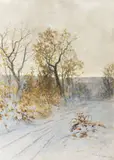 Jaroslav Panuška, Zimní cestou