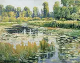 Water lilies by Vaclav Radimsky, 20.–30. léta 20. století, oil on cardboard, sold May 2018