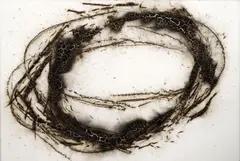 Crown of thorns by Magdalena Jetelová, 80. léta 20. století, malba světlicemi na foamboardu, sold May 2018