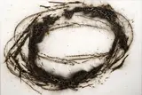 Magdalena Jetelová, Crown of thorns, 80. léta 20. století, malba světlicemi na foamboardu