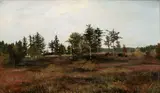 František Kaván, On the clearing