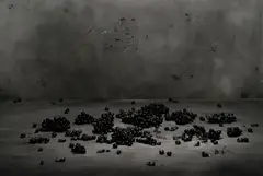 Ivan Pinkava, Large feast, 2003