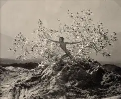 Convolution of six photographs from the cycle Vision, forest nymph conceptual installation by František Drtikol, 1935, bromo-silver photography, sold Dec 2018
