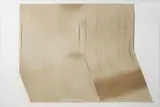 Magdalena Jetelová, Suchý laser, 2013, kresba laserovým paprskem