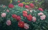 Antonín Hudeček, Peonies