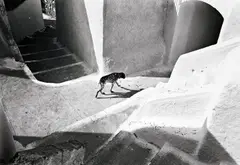 Hans Madej, Simple Life, 1981