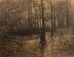 Julius Mařák, Afternoon in a Wood, 1885–1890, charcoal on paper