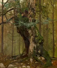 Julius Mařák, Old Oak Tree, kolem roku 1893, oil on cardboard