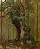 Julius Mařák, Old Oak Tree