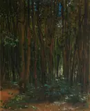 František Kupka, Wood Interior, around 1907, gouache on cardboard