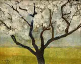 Ota Janeček, A Tree in Bloom