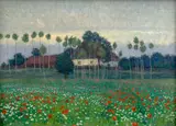 František Kaván, Poppy Field