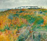 Otakar Nejedlý, Scenery of Ceylon