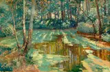 Vaclav Radimsky, Reflection in a Forest