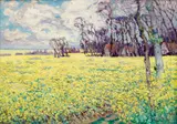 Vaclav Radimsky, Mustard Field in Bloom, circa 1905, oil on canvas