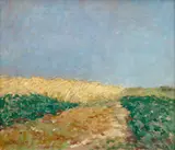 Antonín Slavíček, Grain Field