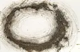 Magdalena Jetelová, Crown of Thorns, 1984, flare-burn on foam board