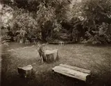 Josef Sudek, Otto Rothmayer's Garden II, 1954–1959, black and white photograph