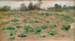 Václav Brožík, Cabbage Field, 1890s, oil on wood panel