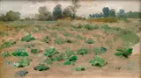 Václav Brožík, Cabbage Field