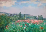 František Kaván, Poppies