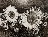 Jiří Georg Dokoupil, Sunflower Field