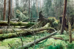 Adam Kašpar, Velká Niva National Nature Reserve, 2023, oil on canvas