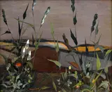 Ota Janeček, Grasses