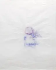 Adriena Šimotová, Fading Away, 2012, pigment on paper