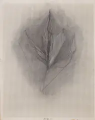 Rony Plesl, Translucent, 2023, charcoal on perforated paper