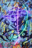 Michal Škapa, David's Head, 2022, mixed media (acrylic, neon tubes) on canvas