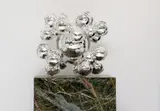 Rudolf Burda, Star of Jungle, 2024, hand-silvered crystal glass