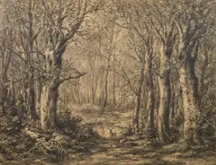 Julius Mařák, Deer in a Beech Forest, 1880s, charcoal on paper