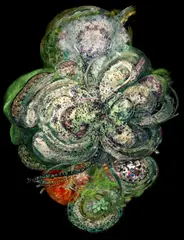 Jakub Nepraš, Mycelium, 2006 (video from an edition of 5/5), video installation (projection on sandblasted glass, hand drawing with a diamond cutter)
