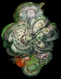 Jakub Nepraš, Mycelium, 2006 (video from an edition of 5/5), video installation (projection on sandblasted glass, hand drawing with a diamond cutter)