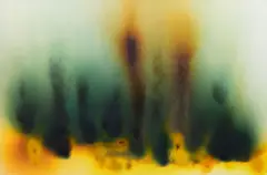 Surprised by Tenderness by Magdalena Jetelová, 2022, smoke painting on canvas, sold Nov 2025