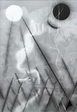 Josef Achrer, Searching for shelter No. 14, 2024, photogram on paper