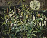 Ota Janeček, Night Grasses