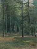 Antonín Slavíček, Sunlit Forest